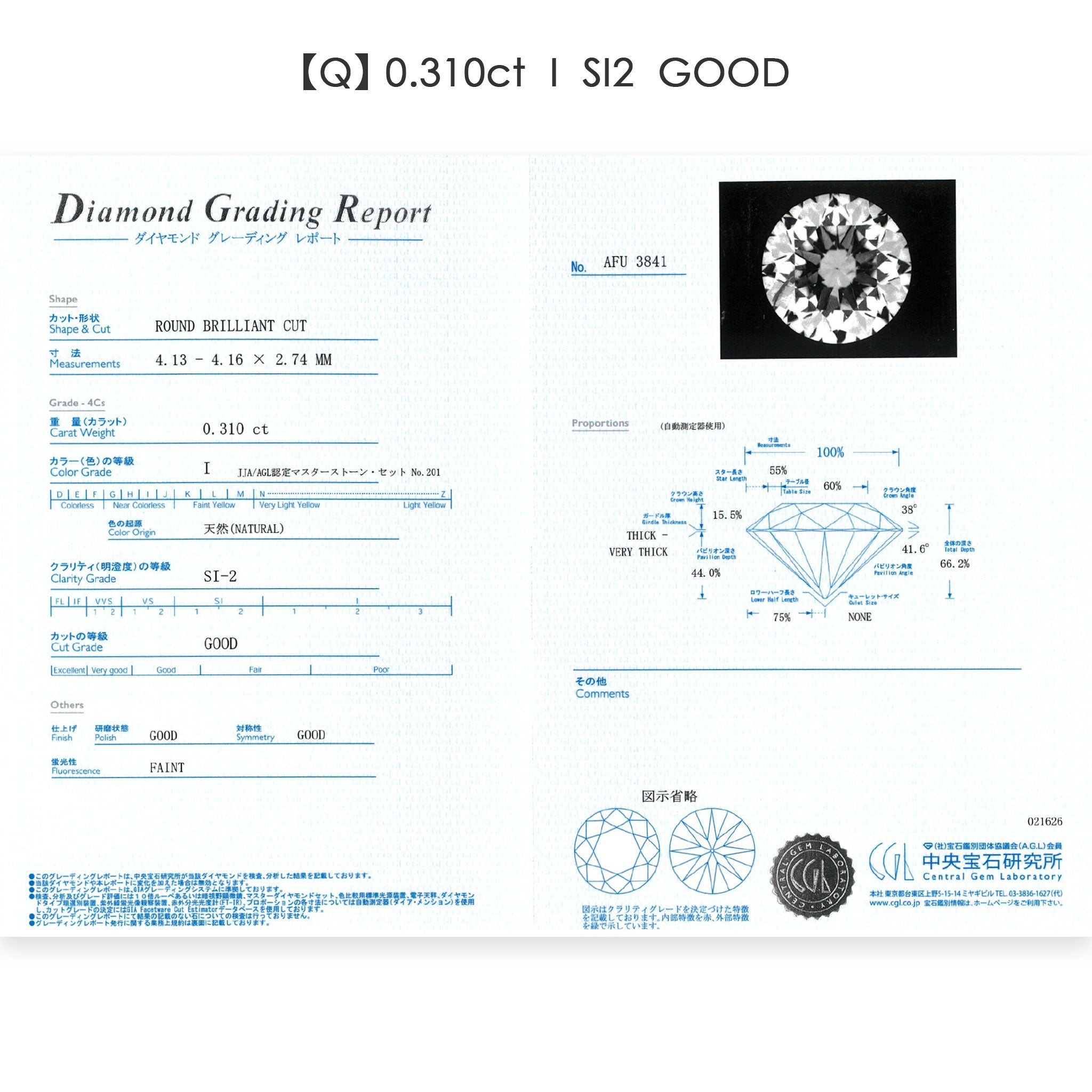 ダイヤモンド 0.30ct Pt900 プラチナ 一粒 ダイヤ ネックレス 両吊り 6本爪 鑑定書付き ANP056P